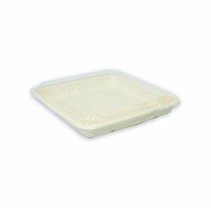 Band Sushi Bio ST-1100 x50